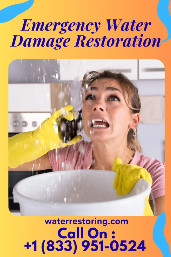 Emergency Water Damage Restoration in Wilson City, MO