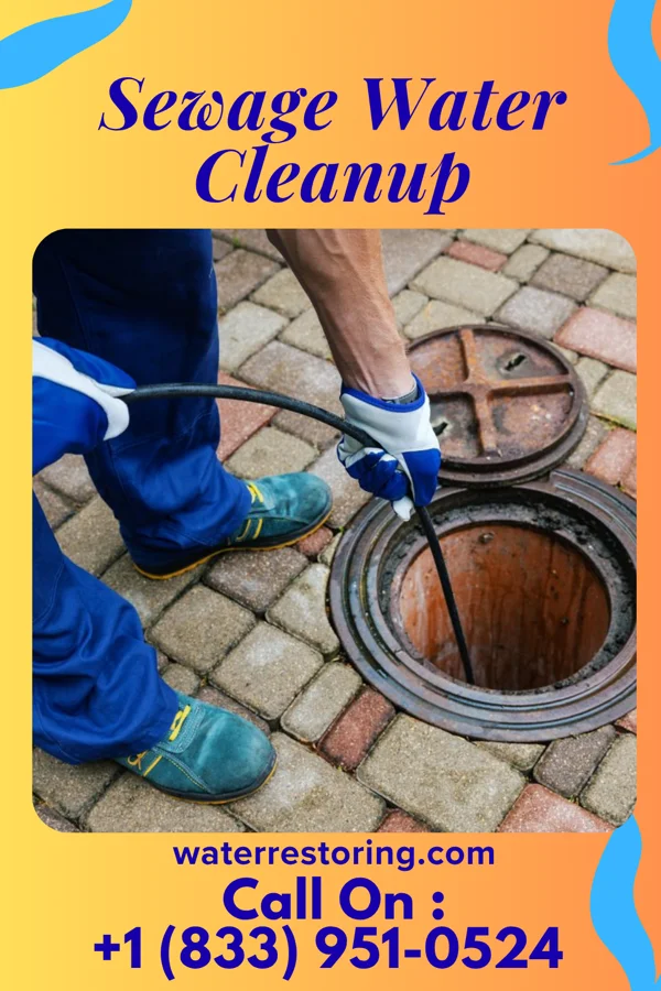 Sewage Water Cleanup in Wilson City, MO