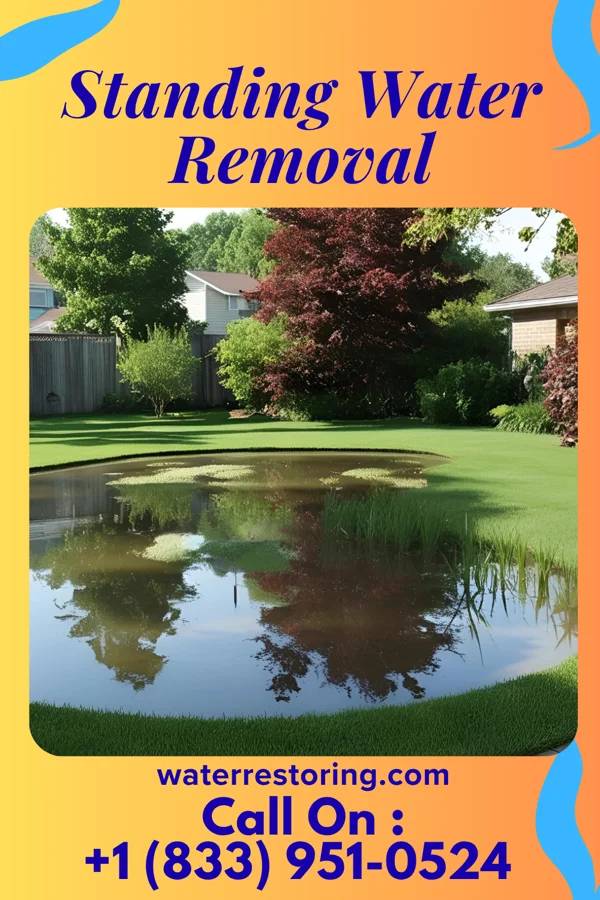 Standing Water Removal in Wilson City, MO